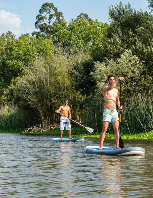 Men and women stand up paddleboarding on lake. Young couples are doing watersport on lake. Males and females tourists during summer vacation.