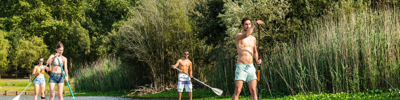 Men and women stand up paddleboarding on lake. Young couples are doing watersport on lake. Males and females tourists during summer vacation.
